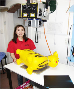 Henderson Valley Vet - Maureen having an xray